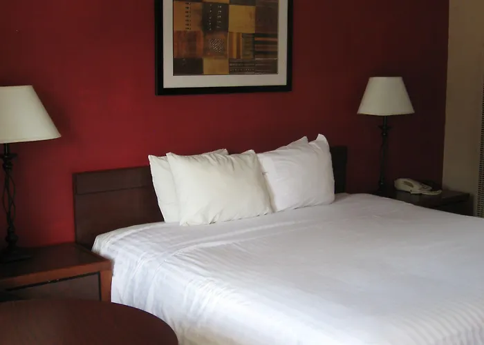 The L Downtown/nau Conference Center Motel 2*